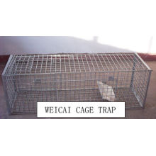 Trap Cages_ Fox/ Wold Boar/ Hyena/ Bear